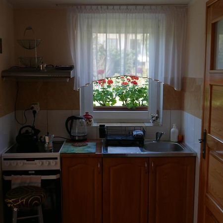 Dom We Fromborku Villa Kültér fotó